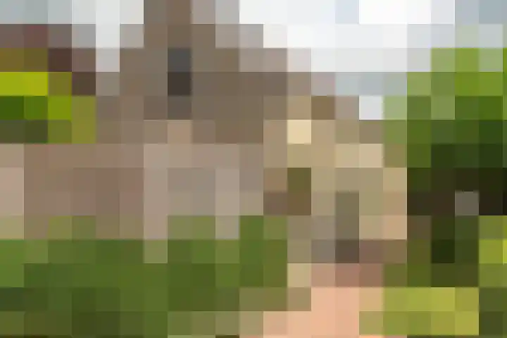 Oud Kaatsveld 27 Franeker thumbnail 47