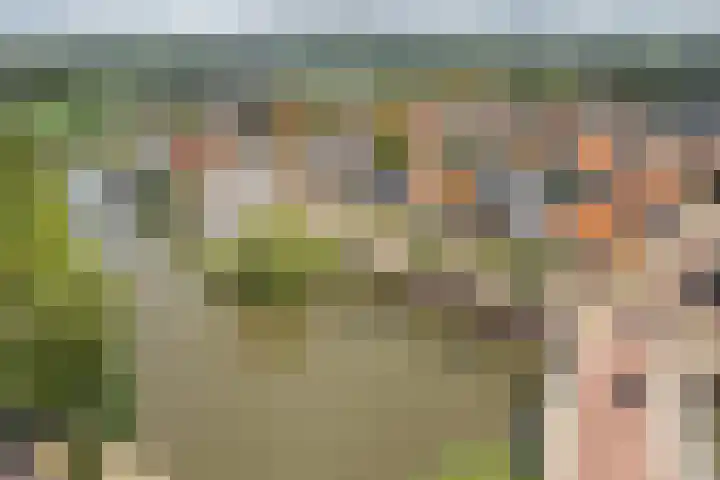 Oud Kaatsveld 27 Franeker thumbnail 56