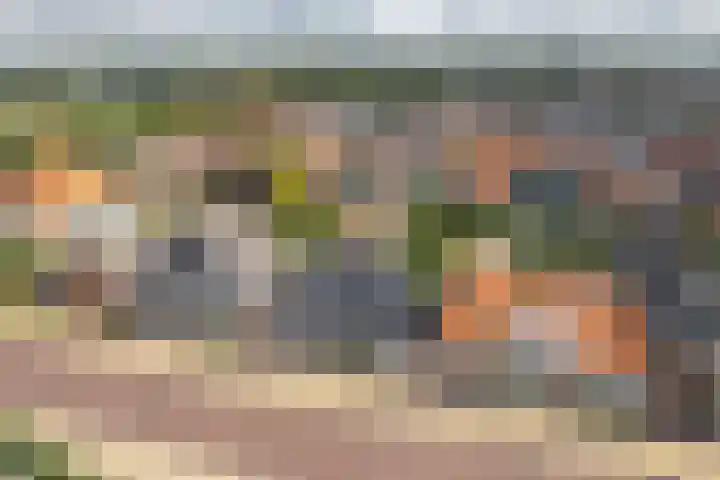 Oud Kaatsveld 27 Franeker thumbnail 58