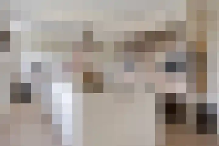 Oud Laar 19 Berlicum thumbnail 11