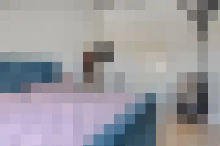 Oud Laar 19 Berlicum thumbnail 21
