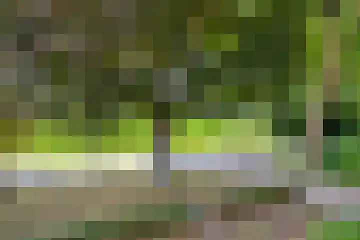 Oud Laar 19 Berlicum thumbnail 32