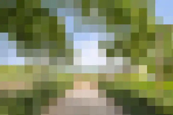 Oud Laar 19 Berlicum thumbnail 33