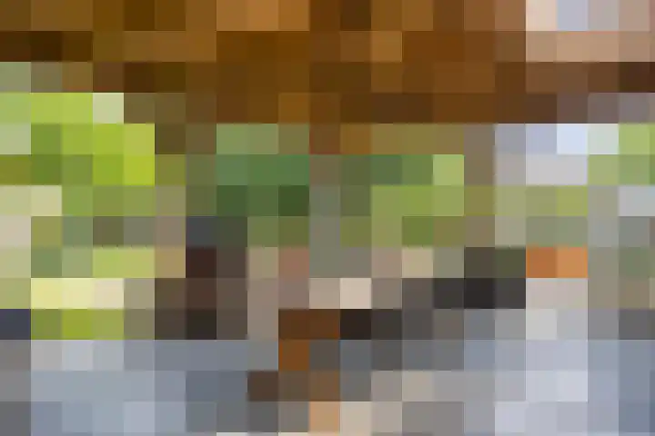Oud Laar 19 Berlicum thumbnail 34