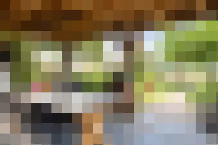 Oud Laar 19 Berlicum thumbnail 35