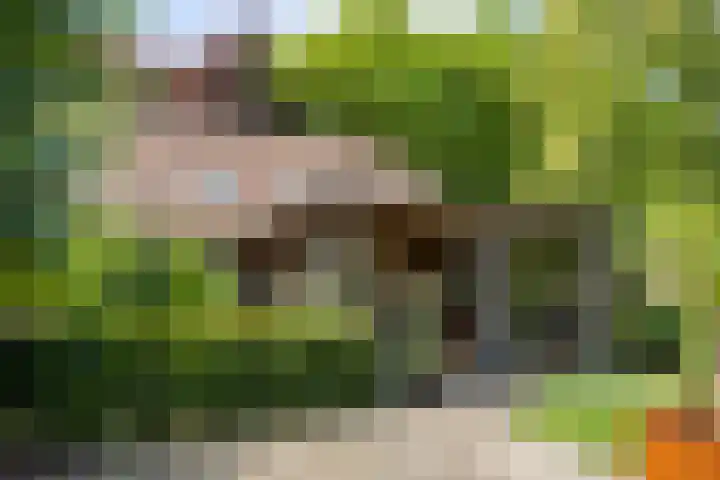 Oud Laar 19 Berlicum thumbnail 38