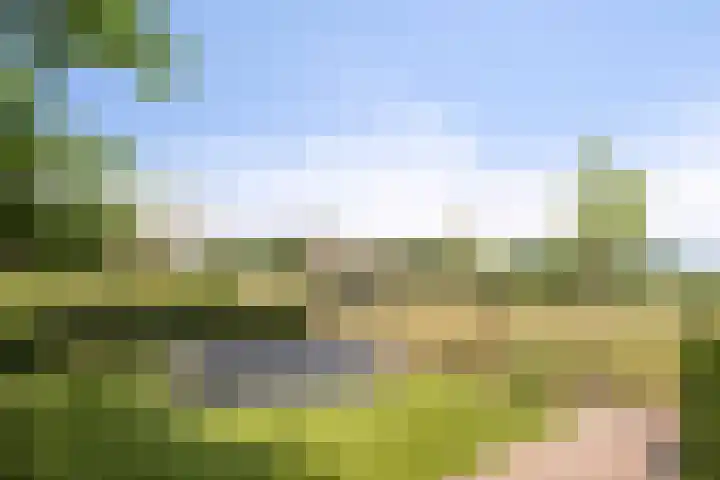 Oud Laar 19 Berlicum thumbnail 39