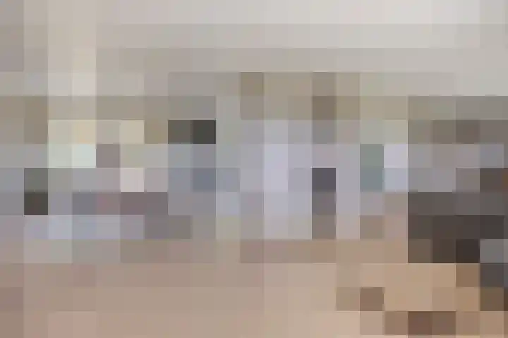 Oud Laar 19 Berlicum thumbnail 4