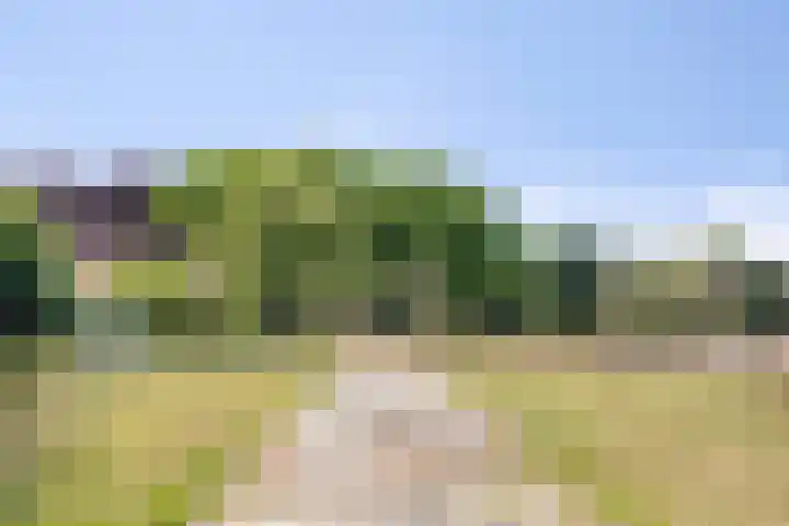 Oud Laar 19 Berlicum thumbnail 42