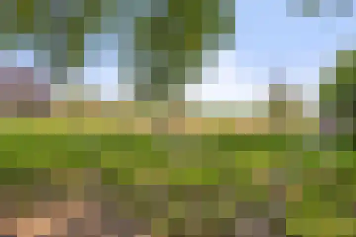 Oud Laar 19 Berlicum thumbnail 43