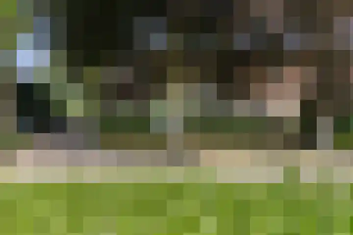 Oud Laar 19 Berlicum thumbnail 49