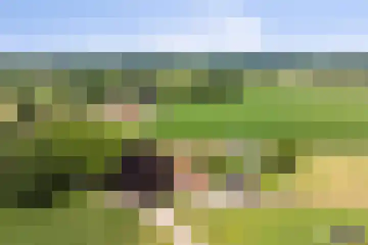 Oud Laar 19 Berlicum thumbnail 54