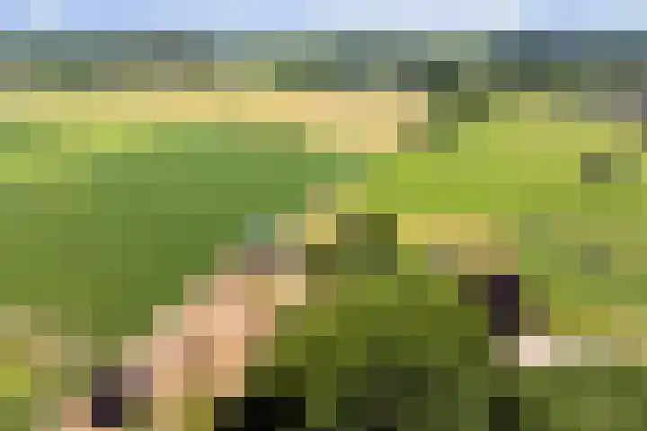 Oud Laar 19 Berlicum thumbnail 55