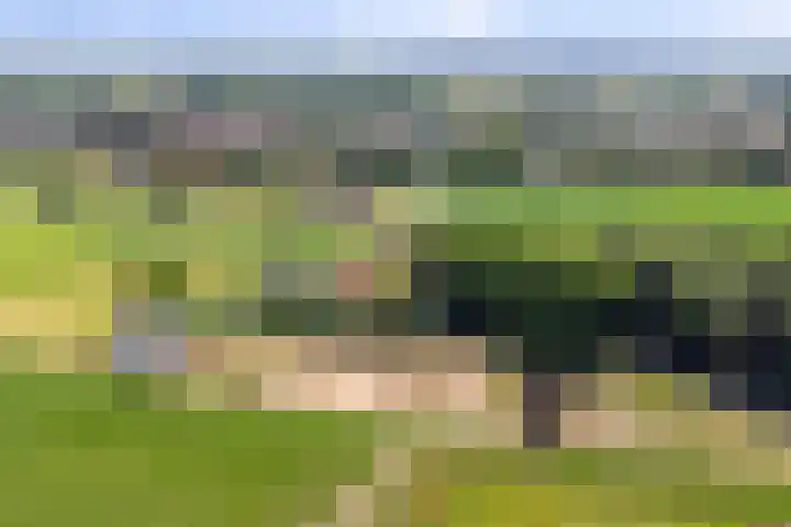 Oud Laar 19 Berlicum thumbnail 56
