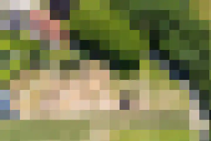 Oud Laar 19 Berlicum thumbnail 58