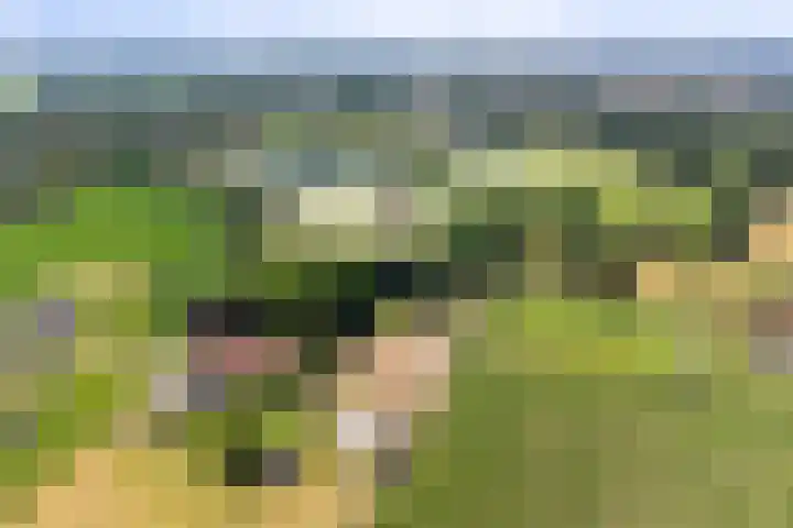 Oud Laar 19 Berlicum thumbnail 59