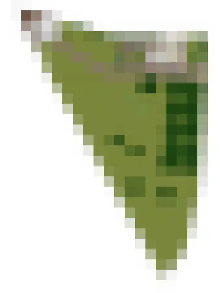 Oud Laar 19 Berlicum thumbnail 62