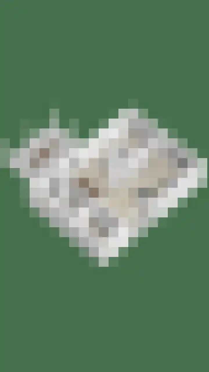 Oud Laar 19 Berlicum thumbnail 67