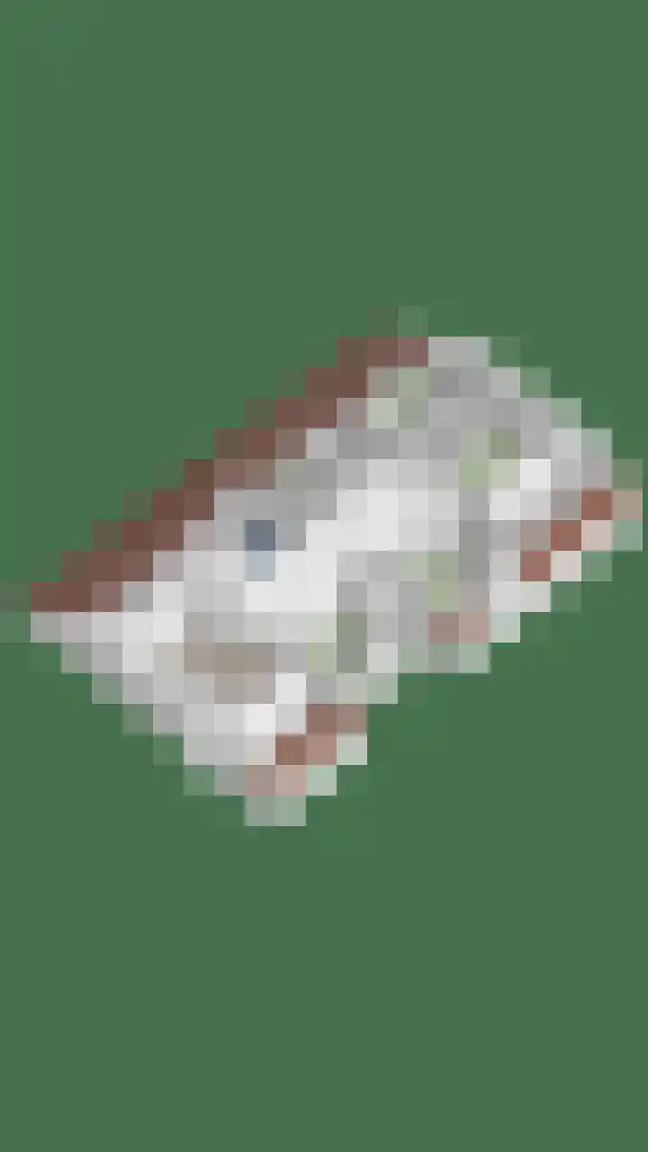 Oud Laar 19 Berlicum thumbnail 68