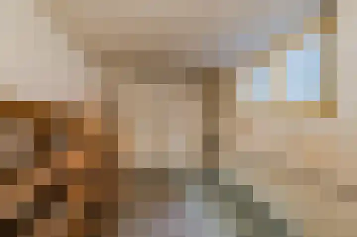 Oud Moleneind 15 Uden thumbnail 30