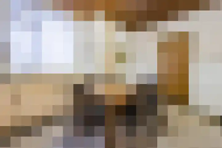 Oud Moleneind 15 Uden thumbnail 4