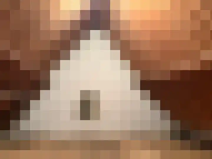 Oud Moleneind 15 Uden thumbnail 41