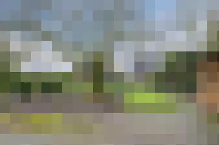 Oud Moleneind 15 Uden thumbnail 53
