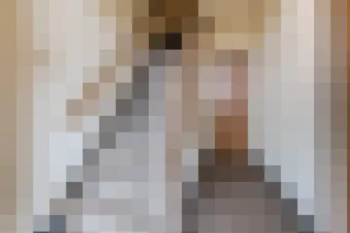 Oud Moleneind 15 Uden thumbnail 9