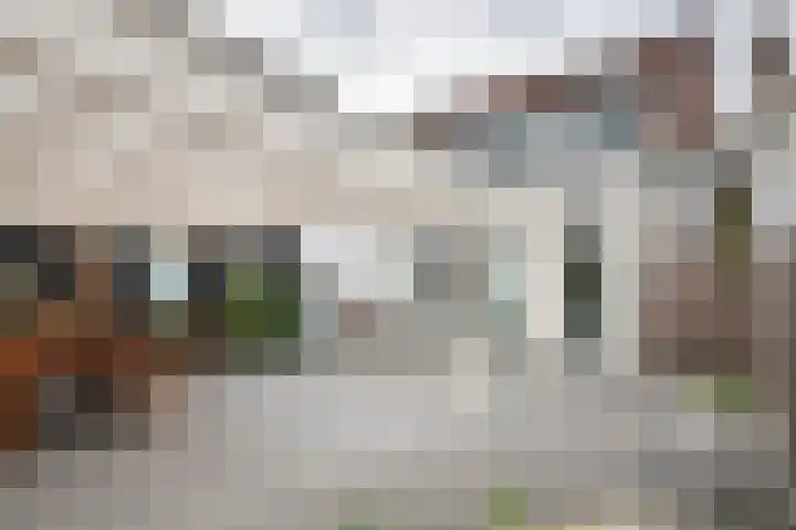 Oud Schaik 7 Leerdam thumbnail 29