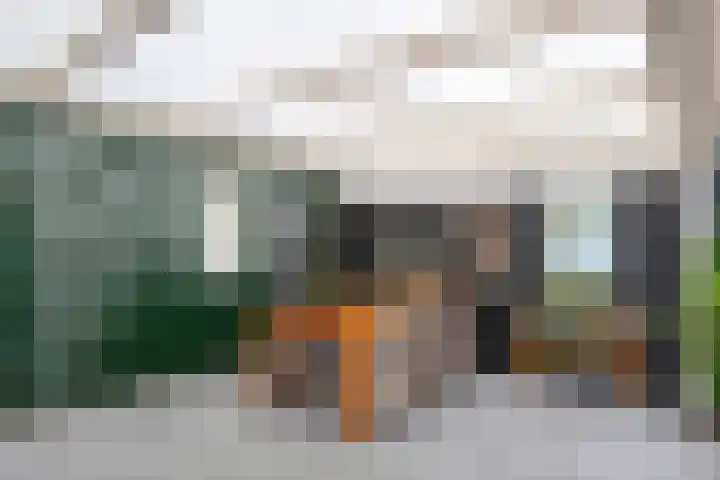 Oud Schaik 7 Leerdam thumbnail 31
