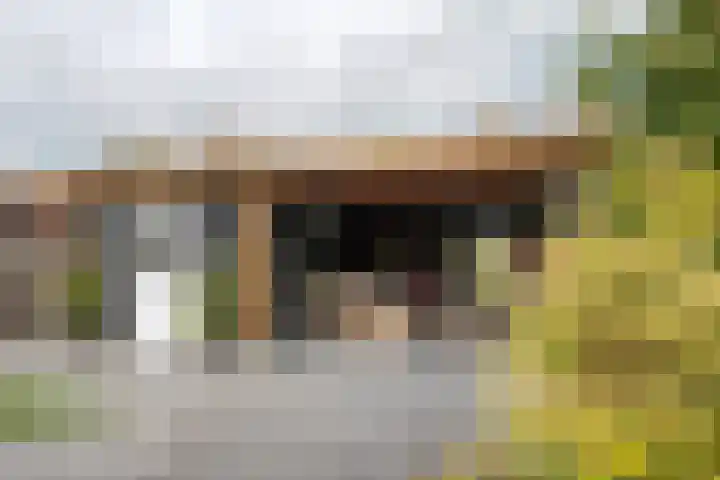 Oud Schaik 7 Leerdam thumbnail 36