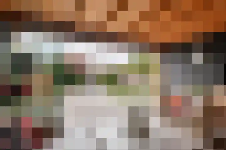 Oud Schaik 7 Leerdam thumbnail 38