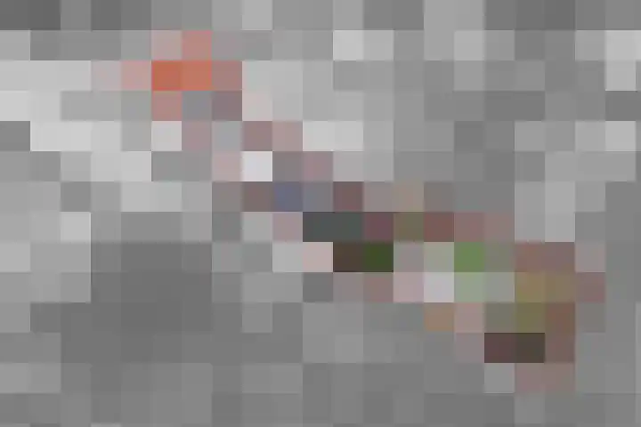 Oud Schaik 7 Leerdam thumbnail 4