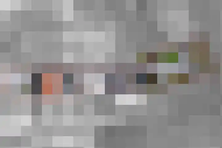 Oud Schaik 7 Leerdam thumbnail 40