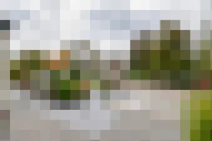 Oud Schaik 7 Leerdam thumbnail 6