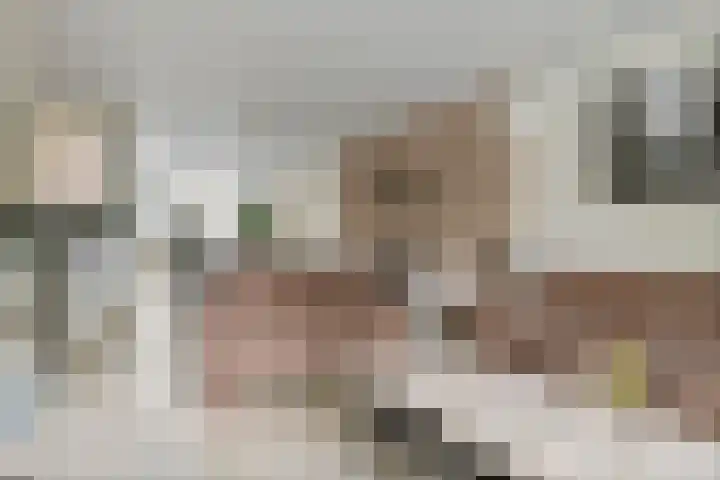 Oud Schaik 7 Leerdam thumbnail 9