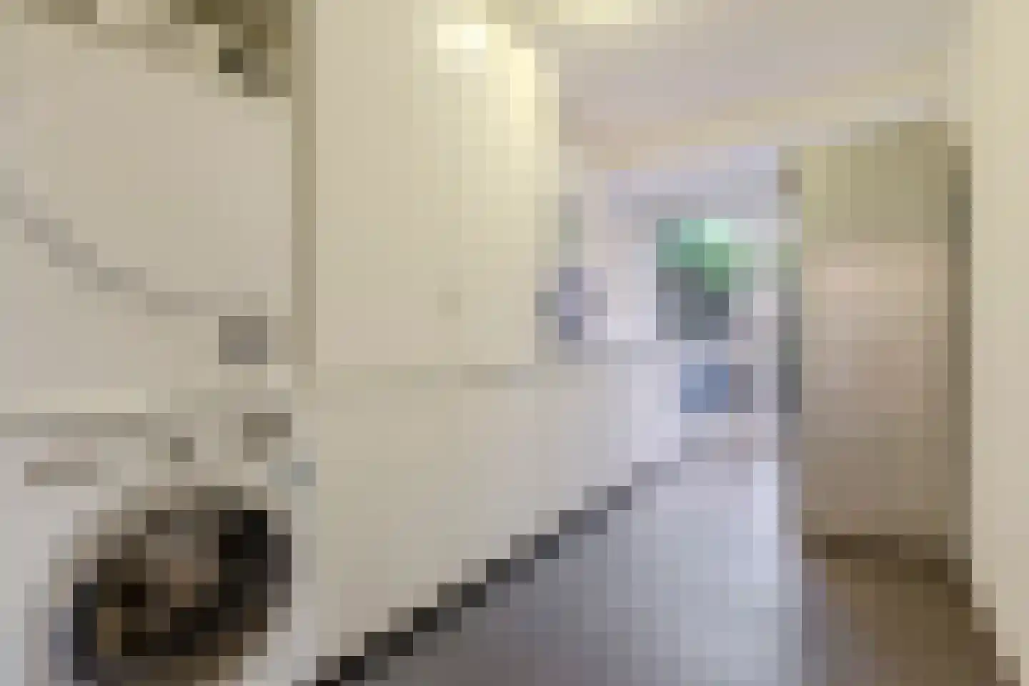 Oudaen 15 Amsterdam thumbnail 23