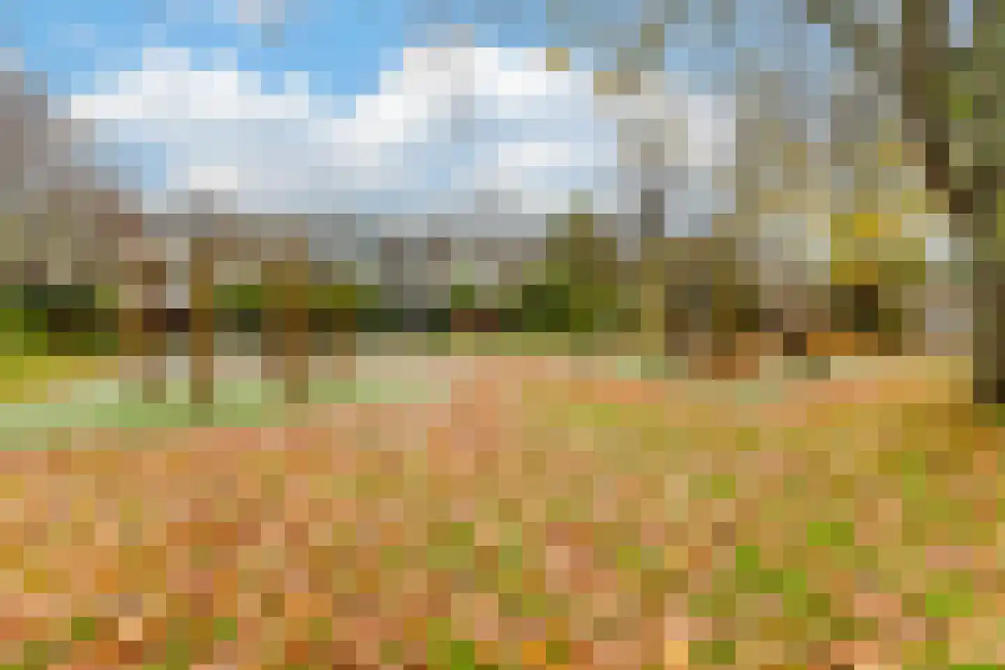 Oudaen 15 Amsterdam thumbnail 27