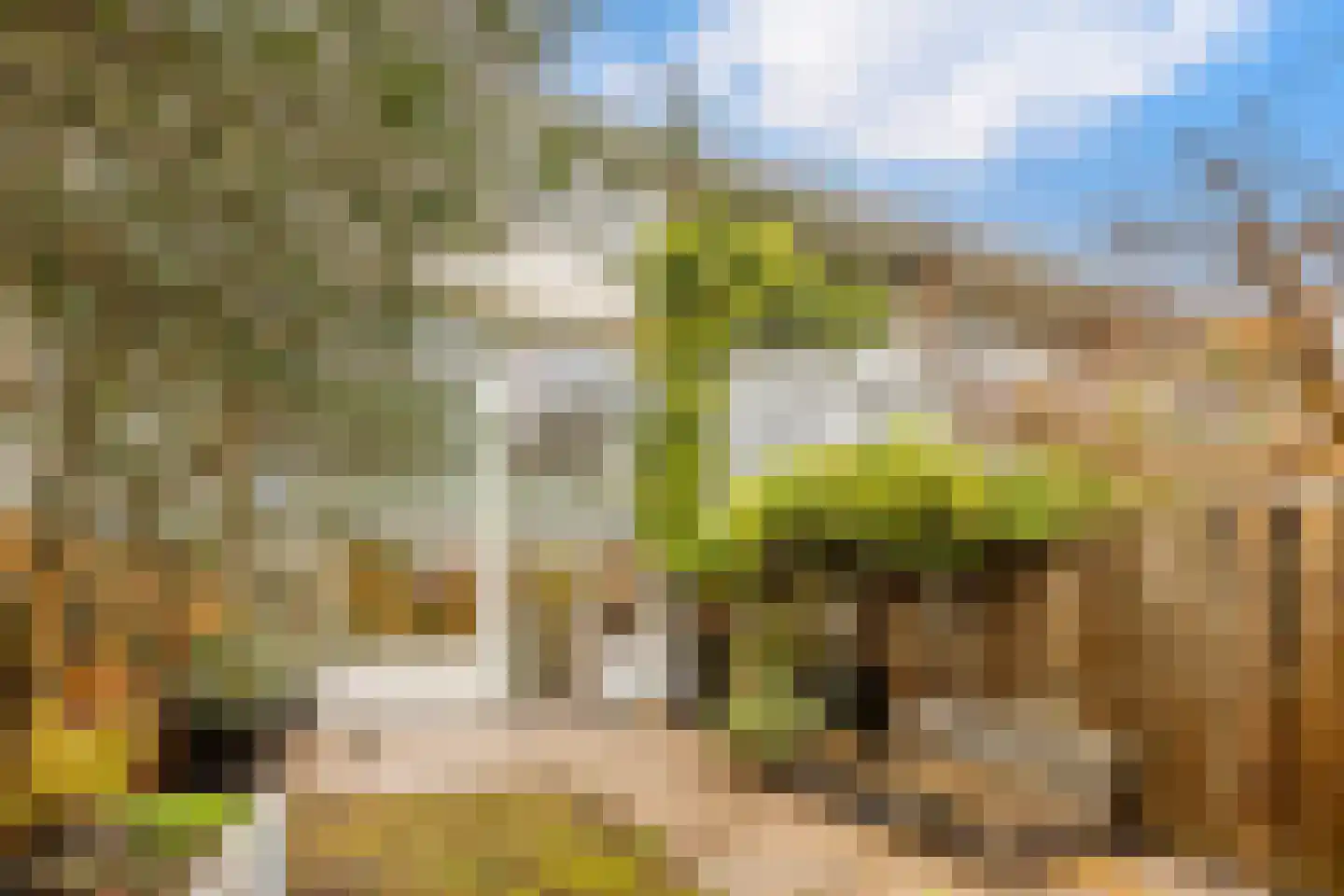 Oudaen 15 Amsterdam thumbnail 4