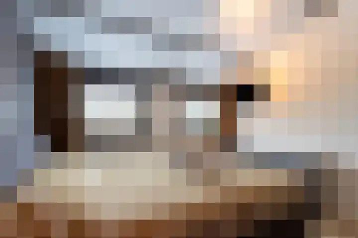 Oudartstraat 3 Helmond thumbnail 23