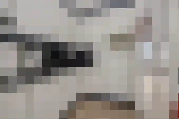 Oude Aa 33 Helmond thumbnail 21