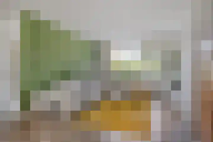 Oude Akerstraat 36 Bemelen thumbnail 13