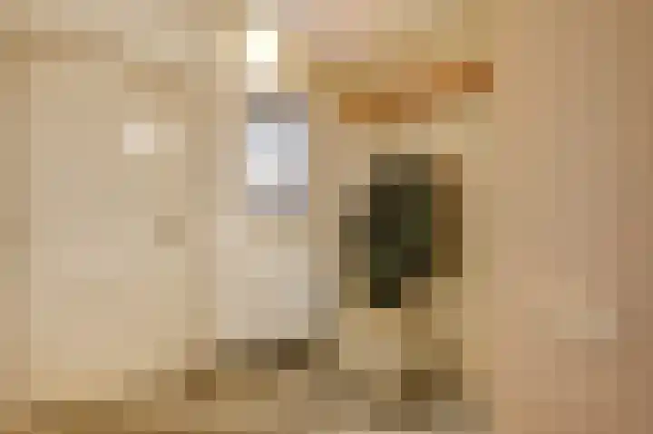 Oude Akerstraat 6 Bemelen thumbnail 10