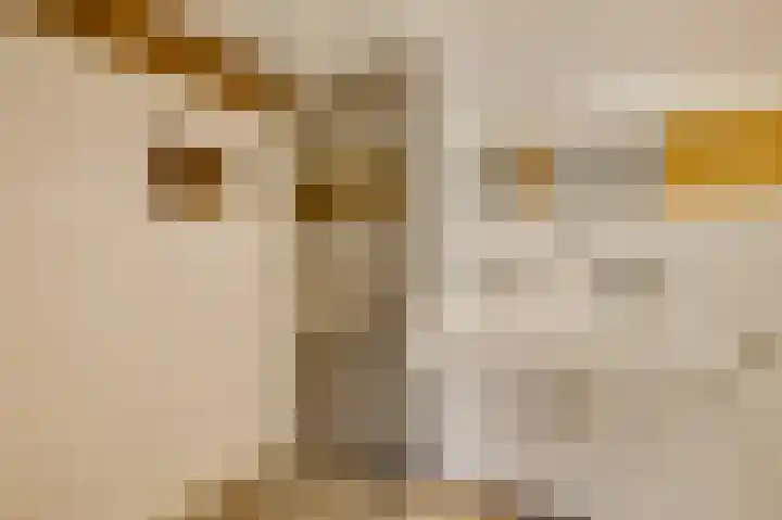 Oude Akerstraat 6 Bemelen thumbnail 27