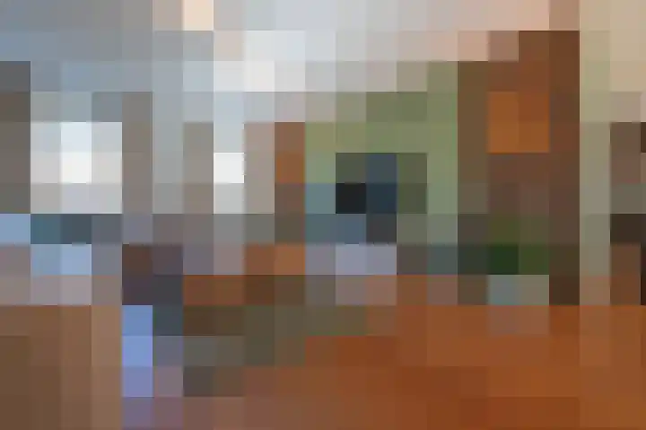 Oude Antwerpsepostbaan 33 b Hoeven thumbnail 12