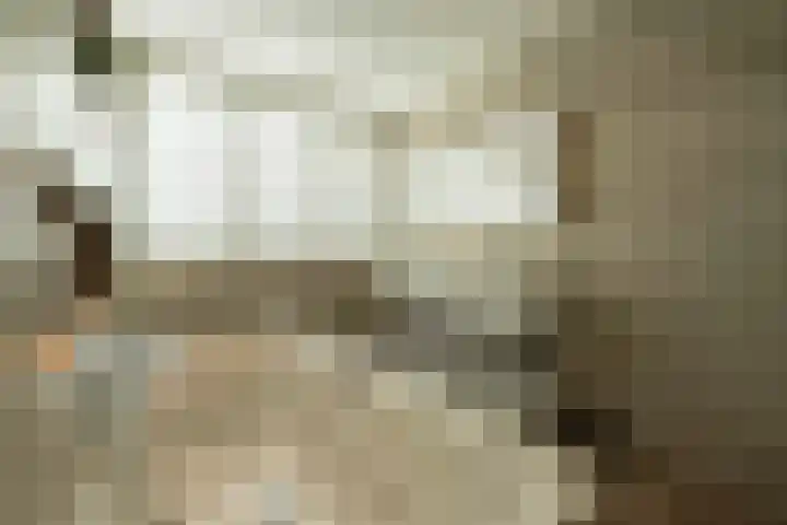 Oude Antwerpsepostbaan 33 b Hoeven thumbnail 57