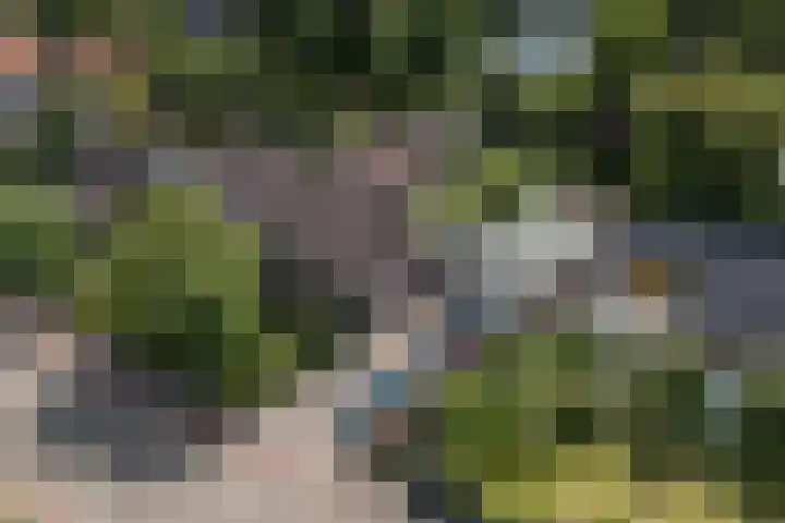 Oude Antwerpsepostbaan 67 Hoeven thumbnail 10