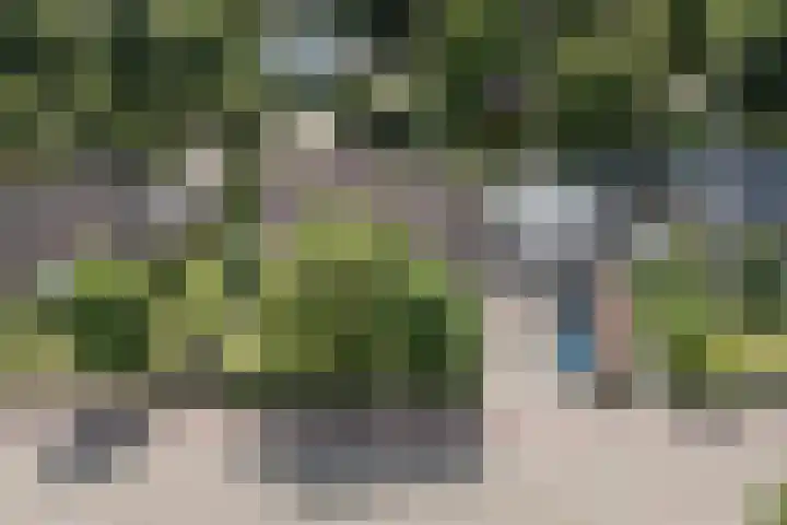 Oude Antwerpsepostbaan 67 Hoeven thumbnail 11