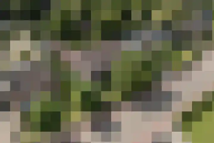 Oude Antwerpsepostbaan 67 Hoeven thumbnail 12
