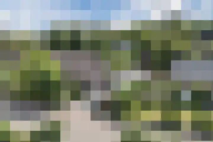 Oude Antwerpsepostbaan 67 Hoeven thumbnail 13